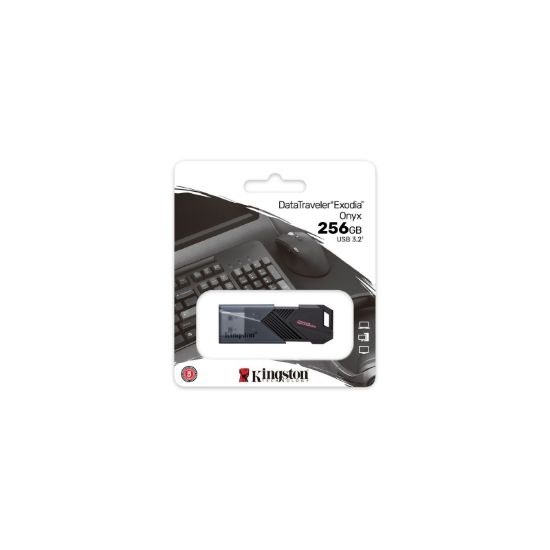 USB накопичувачі Kingston 256Gb DT Exodia Onyx USB3.2 Black
