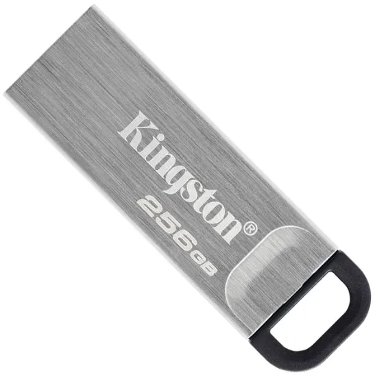 USB накопичувачі Kingston 256Gb Kyson DT Black Silver