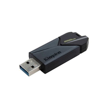 USB накопичувачі Kingston 256Gb DT Exodia Onyx USB3.2 Black