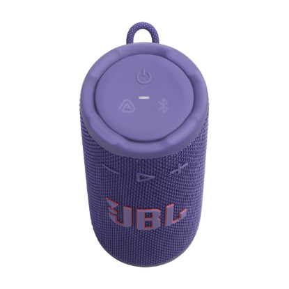 Колонки JBL Grip Purple (JBLGRIPPUR)